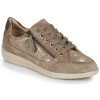 Chaussures Femme Baskets basses Geox MYRIA Bronze